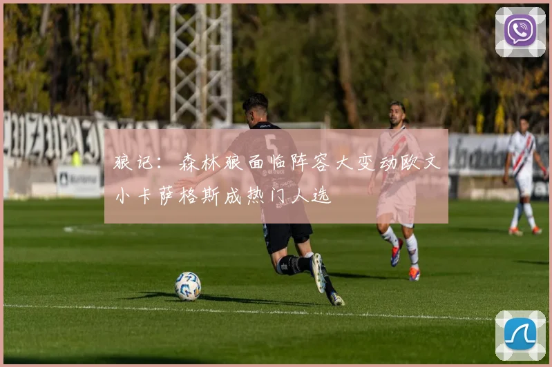 狼记:森林狼面临阵容大变动欧文小卡萨格斯成热门人选
