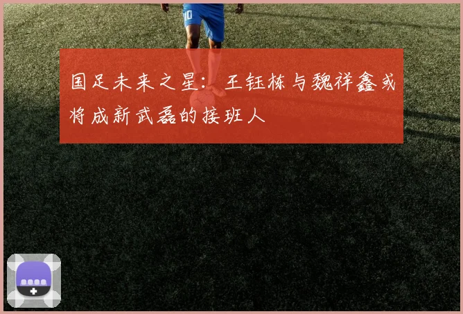 国足未来之星：王钰栋与魏祥鑫或将成新武磊的接班人